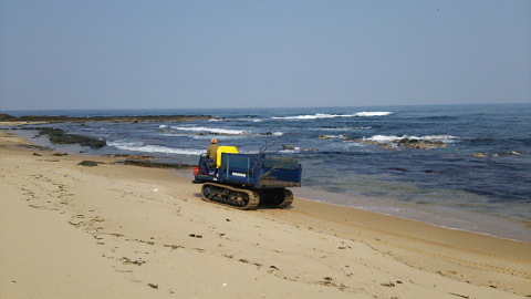 浜掃除