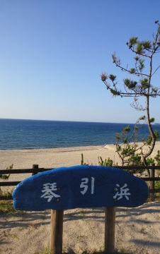 琴引浜看板