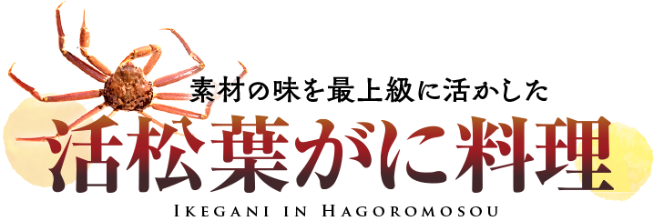 素材の味を最上級に活かした　活松葉がに料理