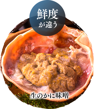 活松葉ガニ料理フルコース 宿泊 日帰り 活蟹の宿 京都丹後 琴引浜 羽衣荘 日本海のカニ 旬魚料理の宿 活松葉ガニ料理フルコース 宿泊 日帰り 活蟹の宿 京都丹後 琴引浜 羽衣荘 日本海のカニ 旬魚料理の宿