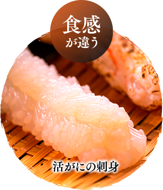 活松葉ガニ料理フルコース 宿泊 日帰り 活蟹の宿 京都丹後 琴引浜 羽衣荘 日本海のカニ 旬魚料理の宿 活松葉ガニ料理フルコース 宿泊 日帰り 活蟹の宿 京都丹後 琴引浜 羽衣荘 日本海のカニ 旬魚料理の宿