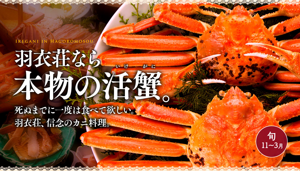 羽衣荘なら、本物の活蟹。死ぬまでに一度は食べて欲しい。羽衣荘、信念のカニ料理。