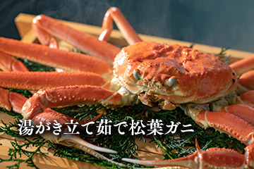 湯がき立て茹で松葉ガニ
