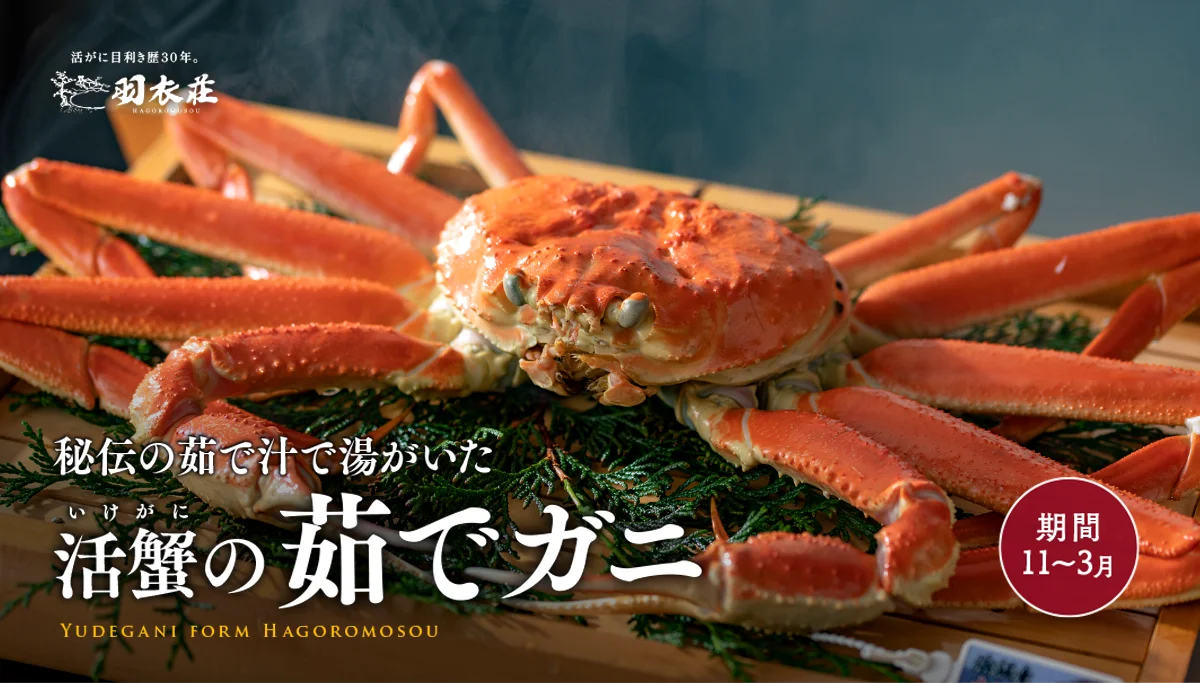 「秘伝の茹で汁」で湯がいた　活がにの茹でガニ