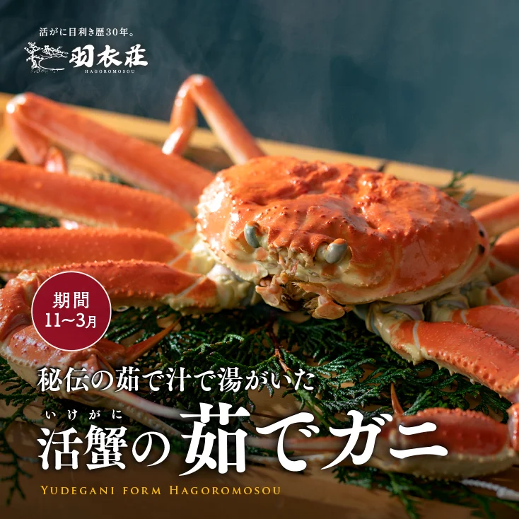 「秘伝の茹で汁」で湯がいた　活がにの茹でガニ