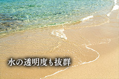水の透明度も抜群