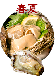 春夏　岩牡蠣