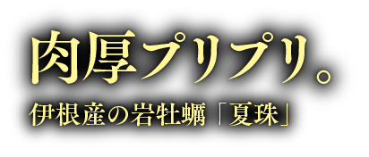 伊根産の岩牡蠣 夏珠　肉厚プリプリ