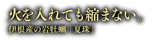 伊根産の岩牡蠣　火を入れても縮まない